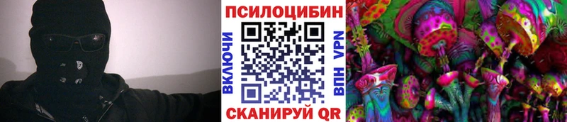 где найти Сургут Галлюциногенные грибы ЛСД